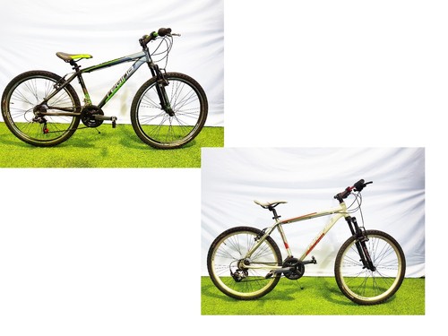 BICI BICICLETTA MTB 26'' REGINA SPARK 21V | eBay