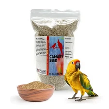 Morning Bird Canary Seed – Nutritional Rich in Vitamins and Supplements for Bird