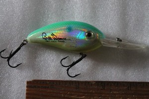 Bill Dance Fat Free Shad | eBay