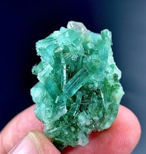 Tourmaline Crystals Bunch Specimen From Afghanistan 70 Carat