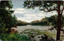 View Of Bronx Lake New York Zoological Park Postcard Vintage Antique KG4