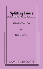 Splitting Issues and Several Other Noteworthy Concerns : A Bunch of Short Pla...