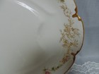 Huge Haviland Limoges Platter Schleiger 291A Pink Roses Gold Two Wells 18" — photo 3
