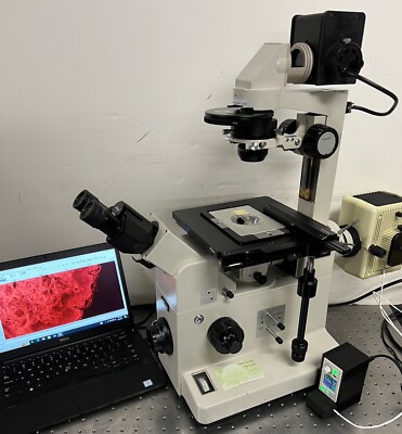 Nikon Diaphot TMD Upgraded LED Fluorescence Phase Inverted Microscope+ Guarantee