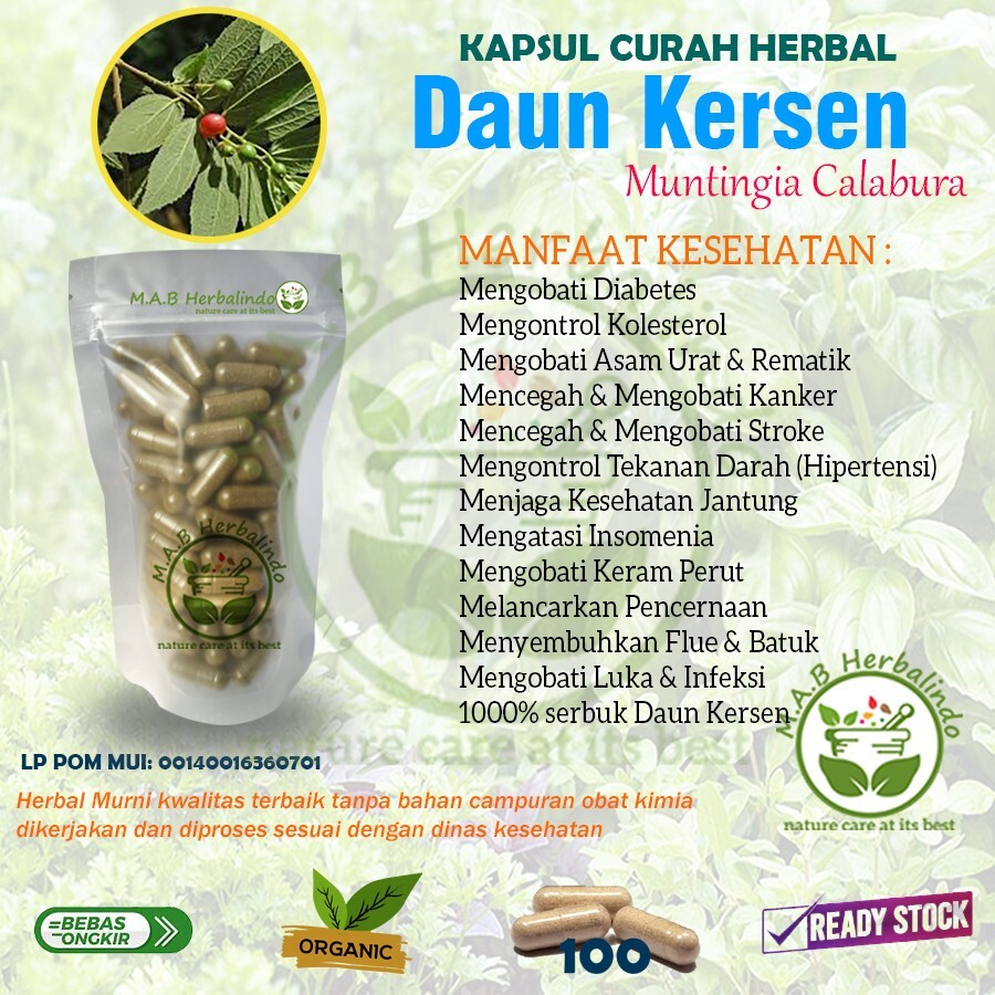 KIRSCHBLÄTTER Kapseln Natur Bio Kräuter Gewürze Frisch Rein Hygienisch Premium