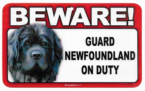 Scandical Plastic Beware! Guard Dog On Duty Mulitple Breeds - Picture 2 of 30
