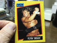WCW WORLD CHAMPIONSHIP WRESTLING  1991 TRADING CARD #  59 FLYIN’BRIAN