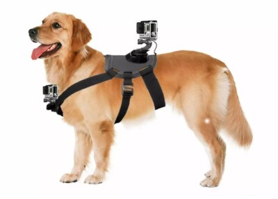 Adjustable Dog Fetch Harness Chest Strap Mount for GoPro HERO10 9 8 7 6 5 4 3+