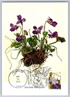 #5048 Botanical Art Japanese Irises FDC Maxi Card w/Pictorial Cancel