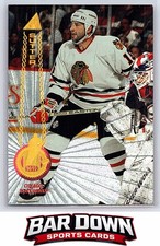 1994-95 Pinnacle #235 Rich Sutter Rink Collection