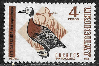 HICK GIRL USED URUGUAY STAMP SC#754 1968 WHIT FACED DUCK L302