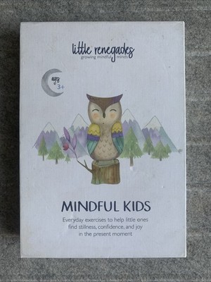 Little Renegades : Mindful Kids by Blake Lown Beers (2019, Hardcover)