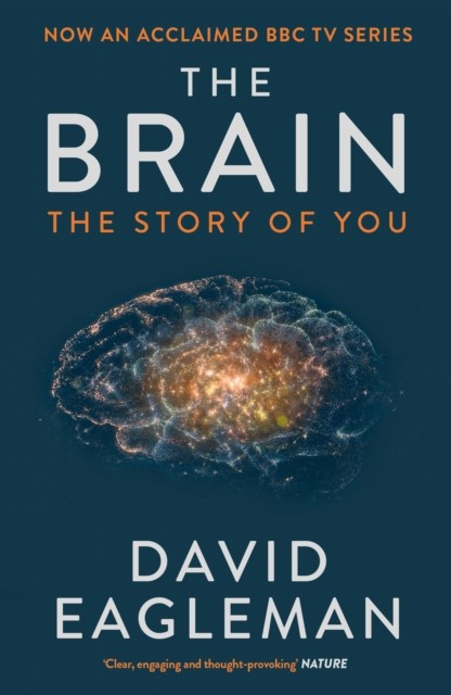 Canongate Books The Brain: The Story Of You By David Eagleman - Image 12