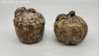 Acorn and Pumpkin Autumn Harvest Ceramic Salt and Pepper Shakers Set of 2 — photo 3
