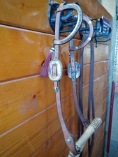 western pleasure show bosal set