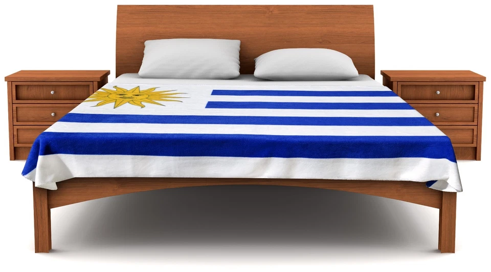 Fuzzy Flags™ Uruguay Flag Fleece Blanket 80" x 50" Oversized Travel Throw Cover - Image 2 of 3