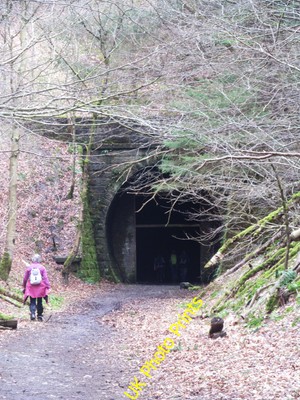Photo 12x8 Drawn towards a black hole Peebles/NT2540 Intrepid explorers i c2016