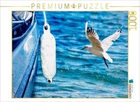 Calvendo Puzzle Seagull | 1000 Pieces, Finished Size 25.2 × 18.9 In (64 × 48 Cm)