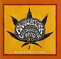 Brant Bjork: Brant Bjork: Black Power Flower - Napalm - (Cd / B)