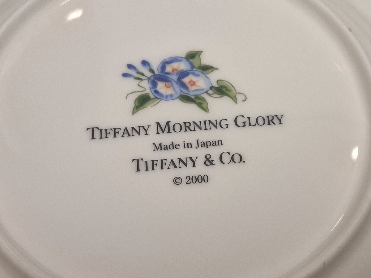 Tiffany & Co Morning Glory Dessert Plates Set of 2 Porcelain Made