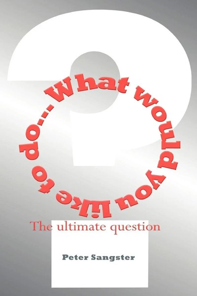 What Would You Like To Do? Peter Sangster Taschenbuch Kartoniert / Broschiert-image