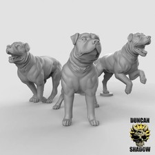 Dog  Miniature