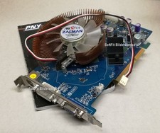 PNY Grafikkarte Geforce 6600 GT, DVI und VGA, mit ZALMAN Lüfter