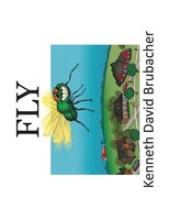 Kenneth David Brubacher | Fly | Taschenbuch | Englisch (2015) | AuthorHouse