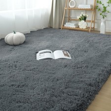Fluffy Area Rugs for Bedroom 5x7: Shag Rugs for Bedroom - Living Room Area Rug