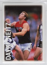 AFL Optus Vision 1996 David Neitz Melbourne