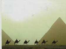 AK GF - Karawane + die Pyramiden in Ägypten ...