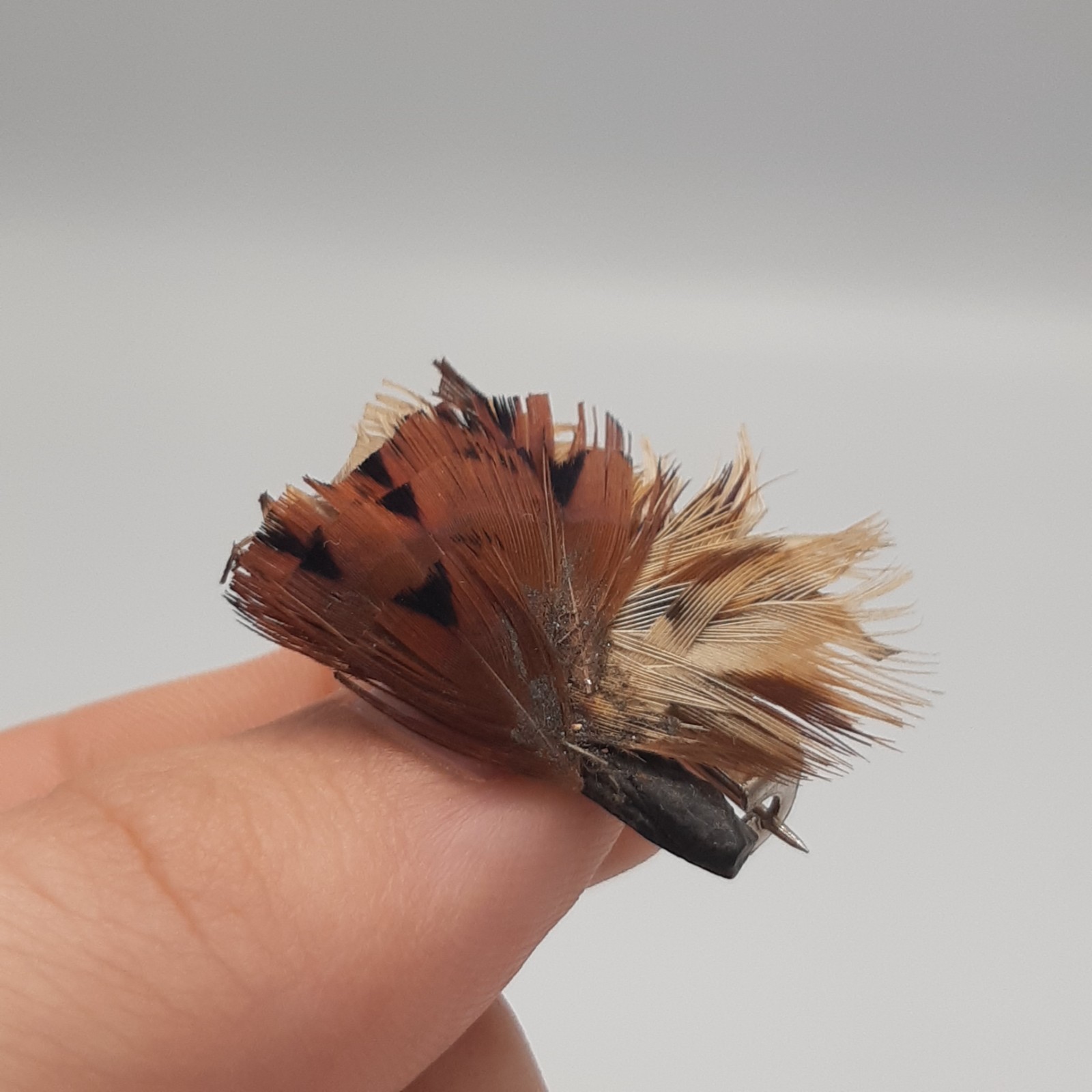 Vintage Scottish Feather Brooch Grouse Pheasant Game Bird Pin Antique Costume image 2