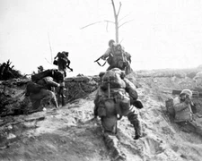 U.S. Marines with Rifles in action on Okinawa WWII World War II 8x10 Photo 996a