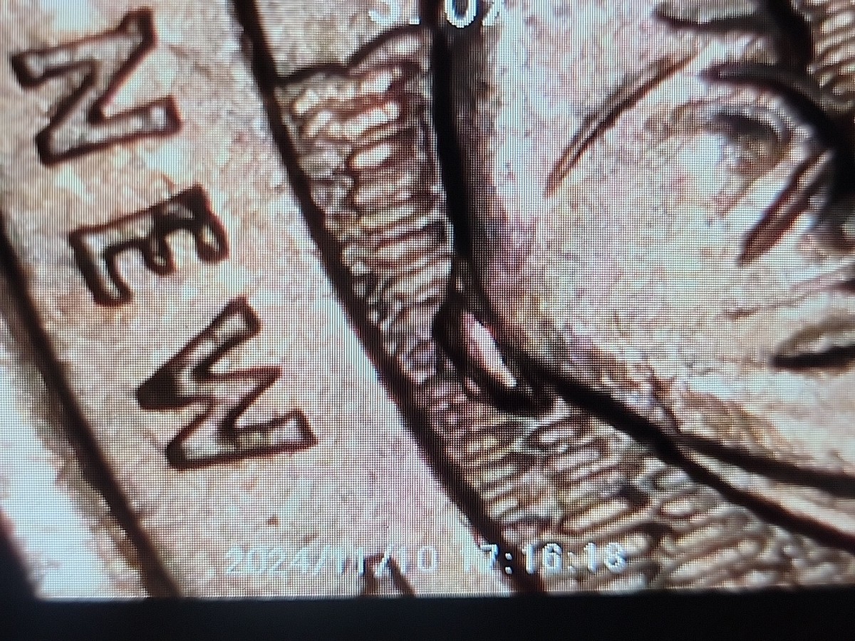 2017-P Ellis Island Quarter Reverse Die Chip Error REF#0062