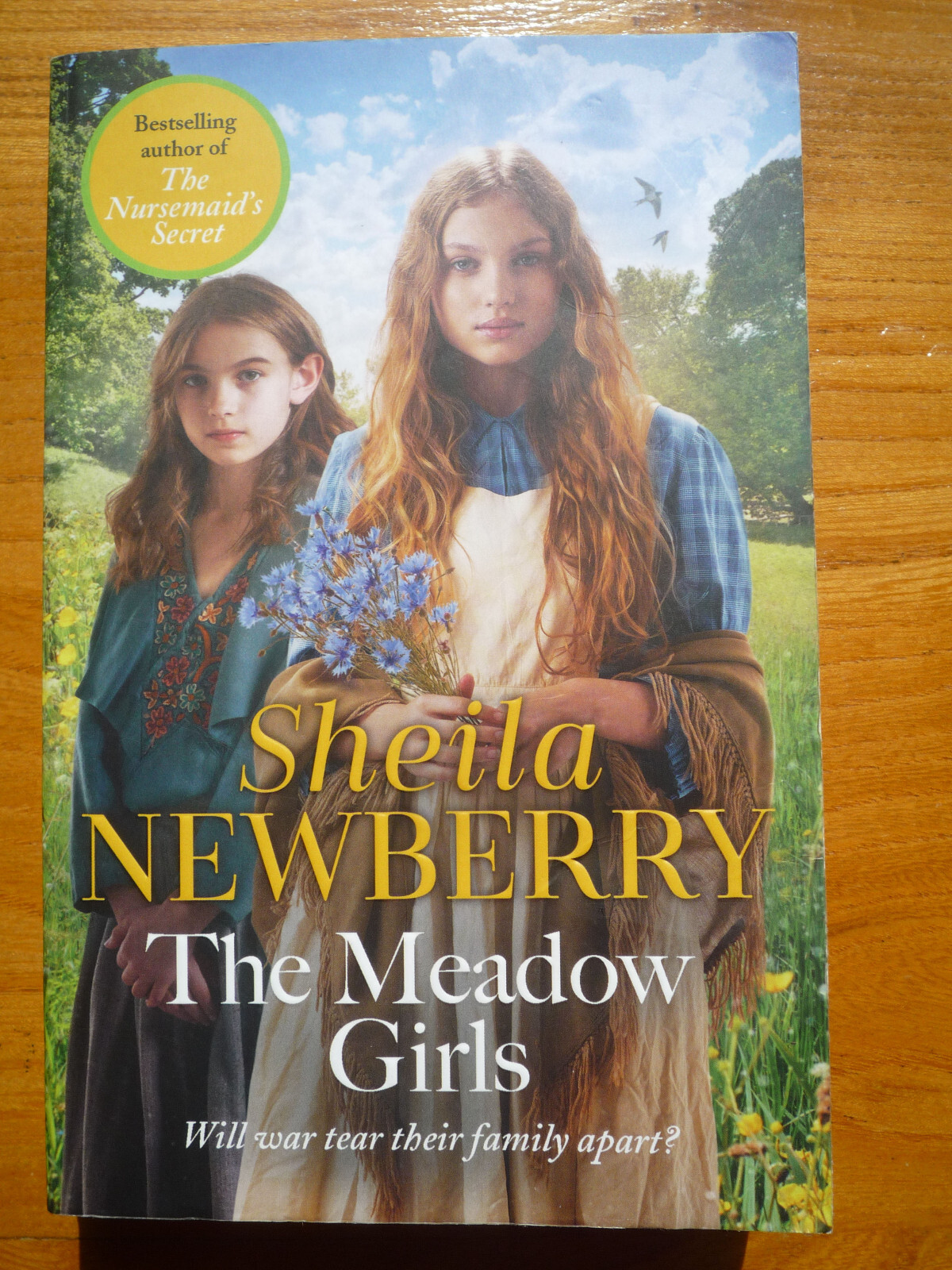 The Meadow Girls: A World War I saga by Sheila Newberry (Paperback) Very Good