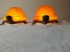 Vintage Tiffany Style Turtle Night Light Retro Lamp Amber Glass Set Of 2