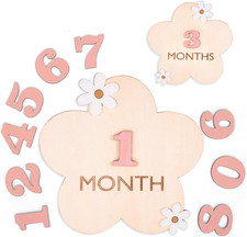Daisy 3D Wooden Baby Monthly Milestone Discs with Floral Design