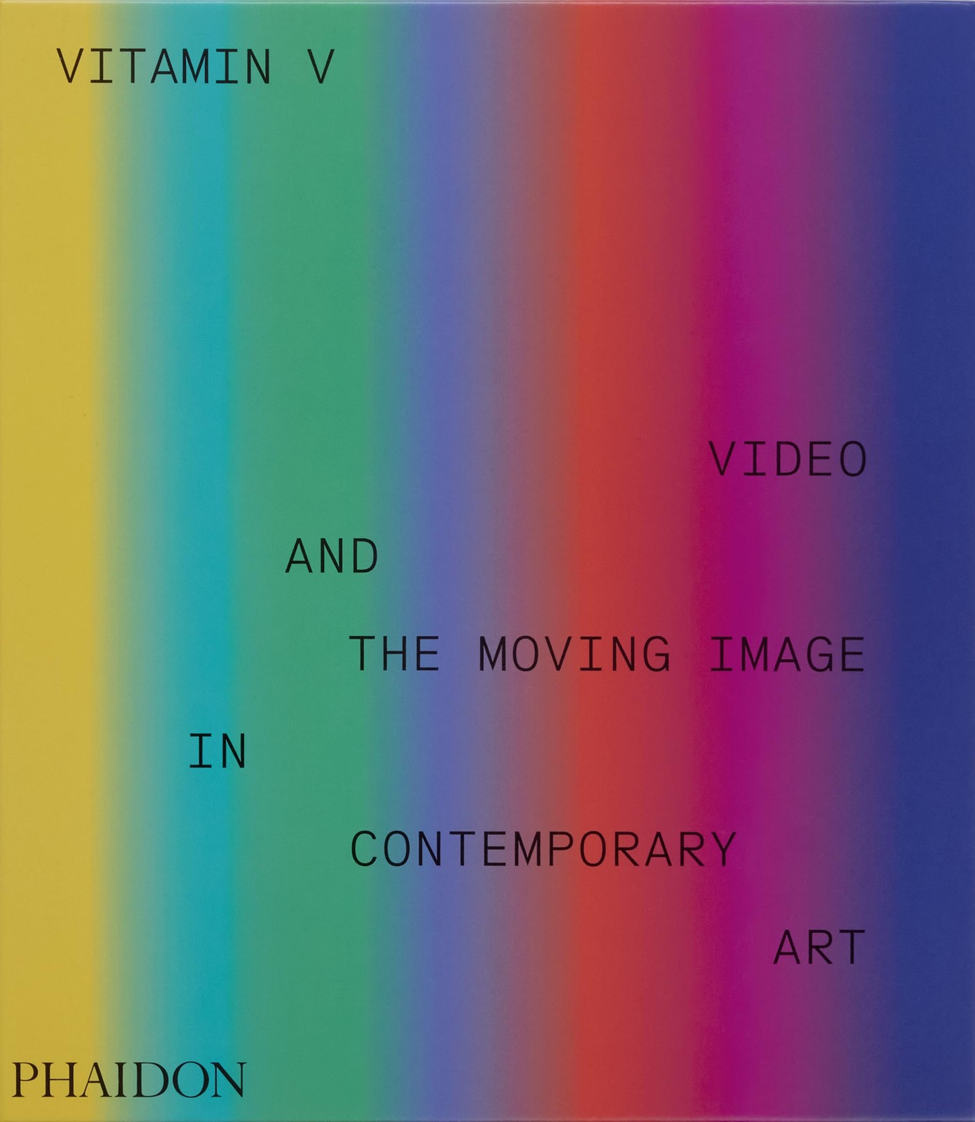 Vitamin V : Video and the Moving Image in Contemporary Art - Image 4