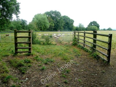 Photo 6x4 Sheep pasture Tirley The Severn floodplain between Haw Bridge a c2010