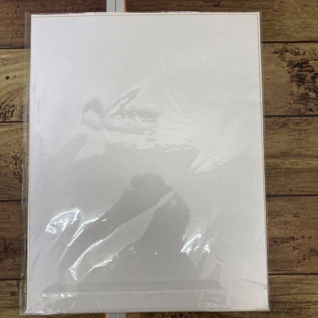 YUSUKE HANAI & Koji Toyoda Art Poster Sheet Only GreenRoom