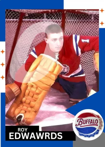 AHL BUFFALO BISONS HOCKEY FUN CARDS (PICK FROM LIST)