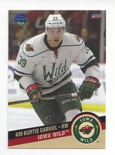 Kurtis Gabriel 2016-17 Iowa Wild (Toronto Maple Leafs)