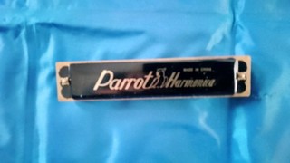 Harmonica Parrot 32 Hole Mouth Organ for Beginners Box Worn