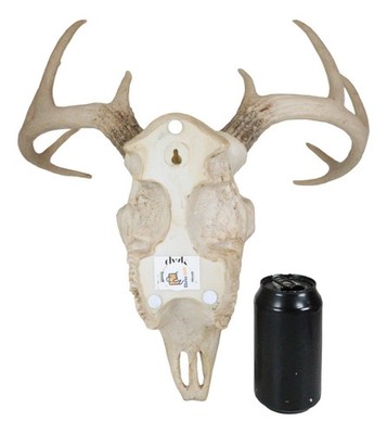 Large Skeleton Buck Deer Skull Wall Plaque Statue Hunter Home