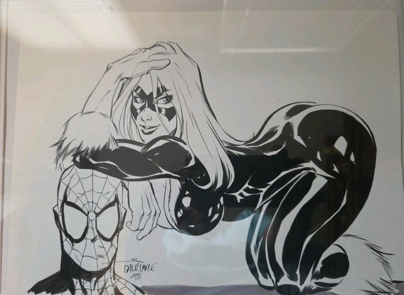 Original Signed Scott Dalrymple Naughty Black Cat And Spiderman Inked Comm 9X12