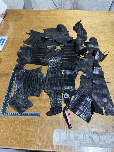 Alligator Skin Scraps, Remnants, Pieces black