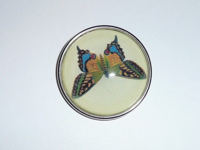 Adorable Butterfly Domed Picture Shank Button w/Silver Bezel 1-1/2