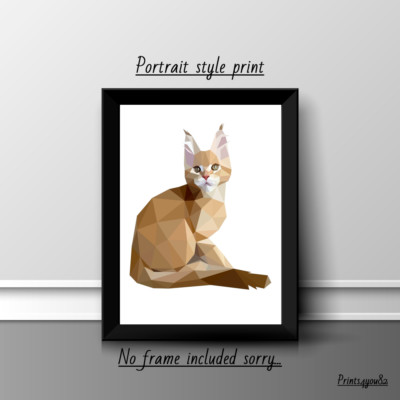 INGWER KATZE HAUSTIER A4 BILD DRUCK POSTER WANDBILD WOHNDEKO UNGERAHMT MODERN GESCHENK