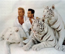 SIEGFRIED & ROY IN WHITE 8X10 PUBLICITY PHOTO / Archival Magicians Photo Reprint
