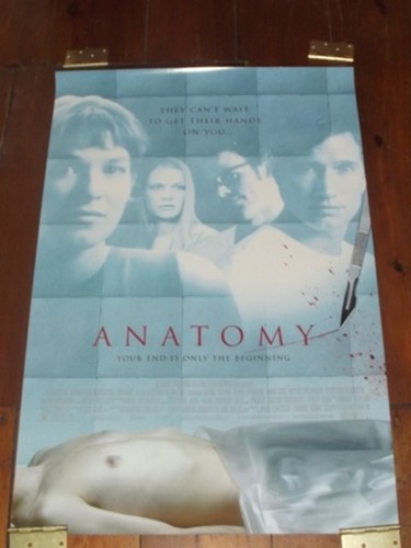 ANATOMY Original Poster 27 X 40 2 SIDED